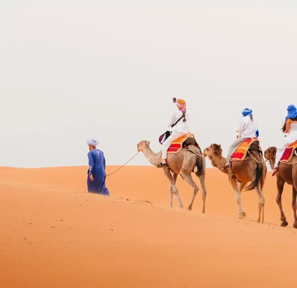 the best travel agency