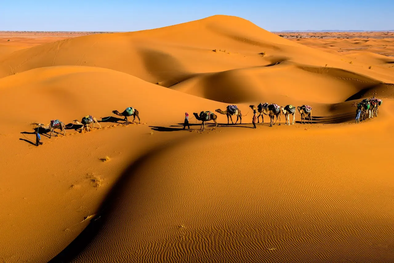 the best travel agency