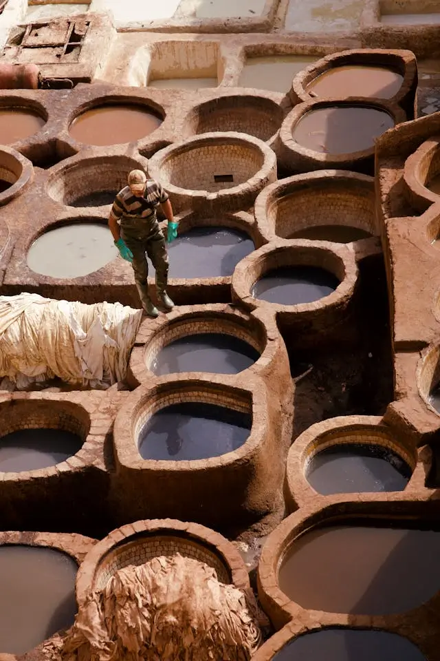 Fez tours