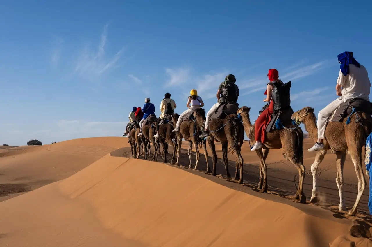 Tourists riding camels across the Sahara Desert dunes in Merzouga, Morocco during a desert camel trek at sunset