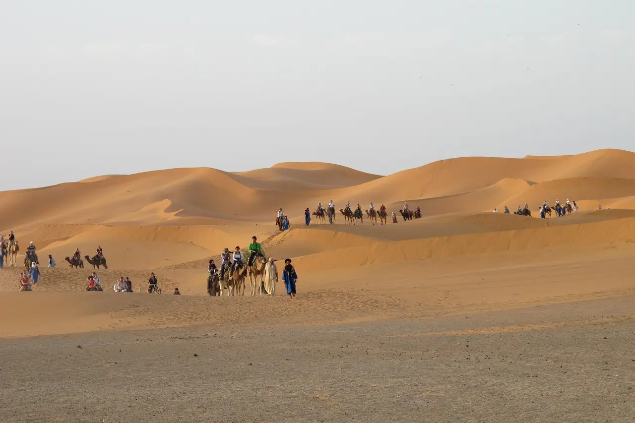 Camel caravan trekking across the iconic sand dunes of Merzouga, Morocco.