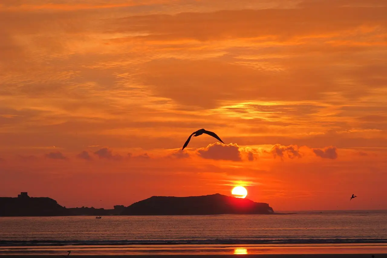 Silhouette of a seagull flying in front of a vibrant orange sunset over the Atlantic Ocean near Essaouira, Morocco, with coastal features and calm water.
