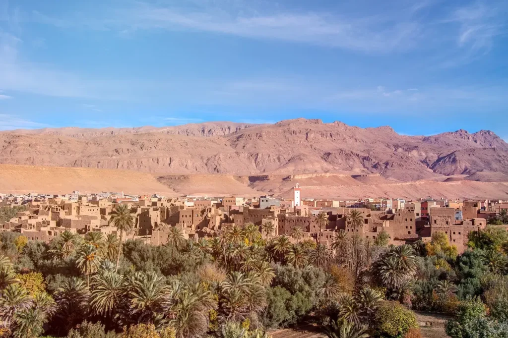 An aerial view of an ancient village made of mud-brick buildings nestled among palm trees, with a red-rock mountain range in the background under a clear blue sky.