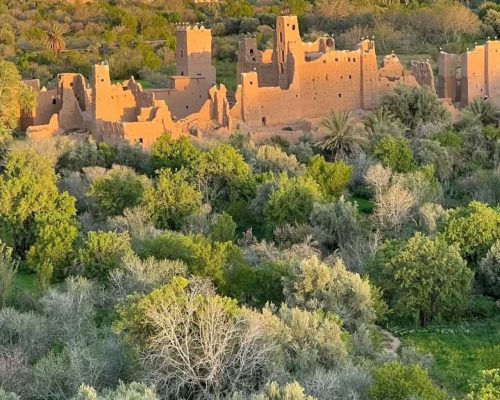 rose festival by moroccantravelagencies