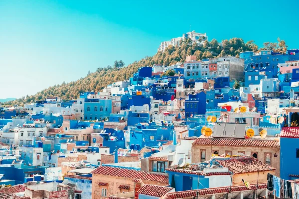 A hillside covered with houses painted in different shades of blue and white, forming the iconic cityscape of Chefchaouen, Morocco.